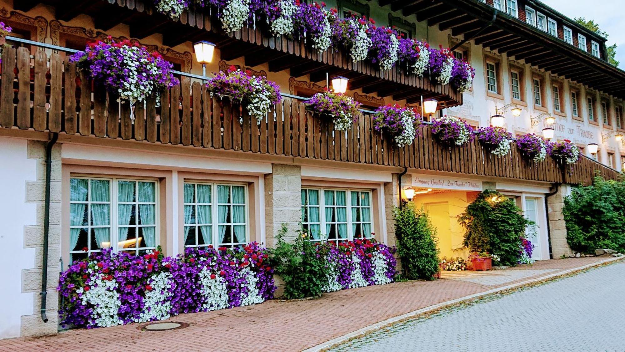 Zur Traube Schwarzwaldhotel & Restaurant Am Titisee Sankt Märgen Exterior foto
